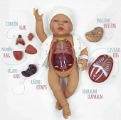 Анатомический пупс Ona Baby Anatomical Nines d`Onil, 45 см