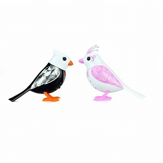 #Tiptovara# 88388 DigiBirds Digibirds friends