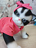 Игрушка котик Cat AniReal 60103 Berjuan, 35 смBerjuan 60103 #Tiptovara#